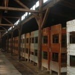 Birkenau Birkenau - Bunk beds