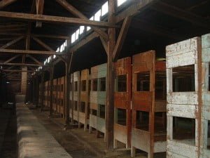 Birkenau - Bunk beds